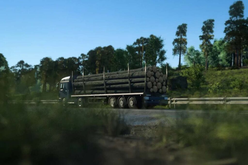 Wood & Biomass Sector